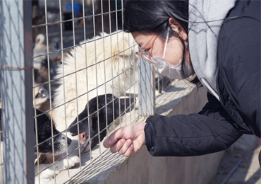 BESEN employee interacting with dogs through a fence, highlighting community care and charity participation.